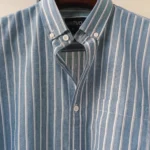 Fancy Blue Stripe Shirt